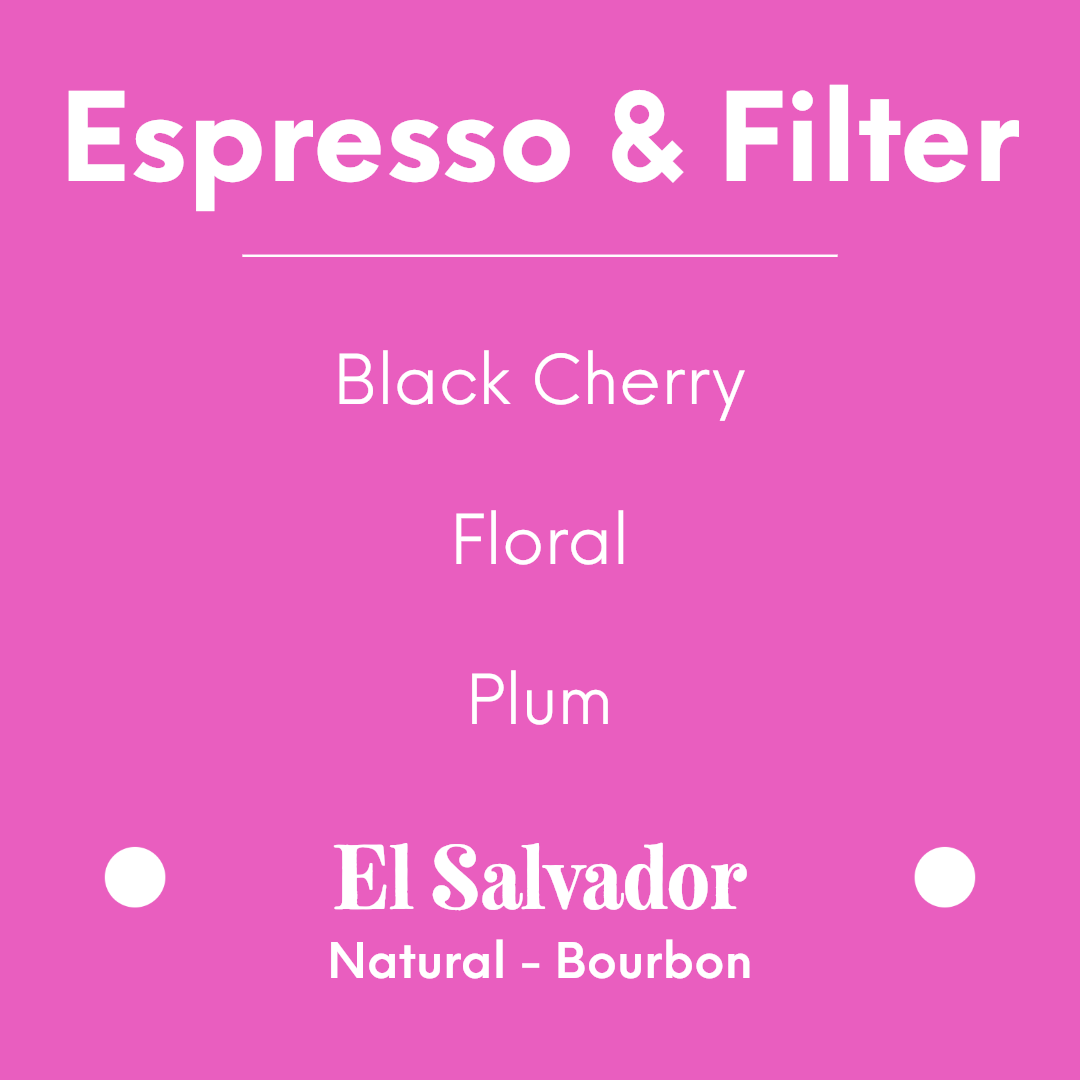 Proud Mary - La Guachoca - El Salvador - Natural - Bourbon