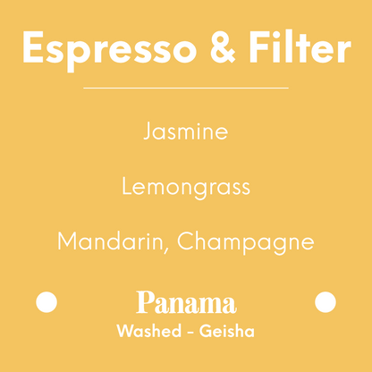 Proud Mary - Finca Auromar - Panama - Washed - Geisha