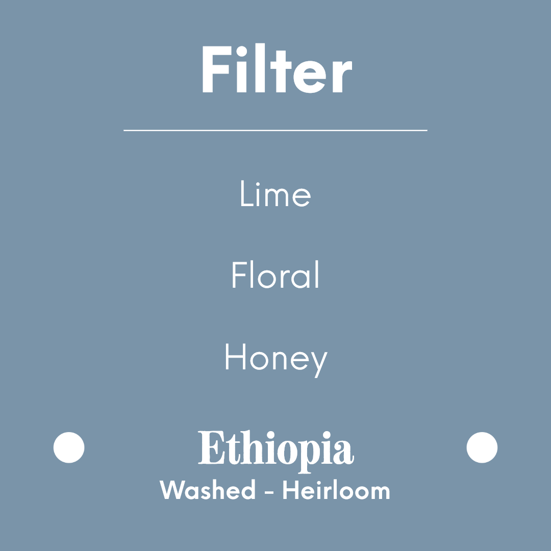 ONA - Ethiopia Limu - Ethiopia - Washed - Heirloom