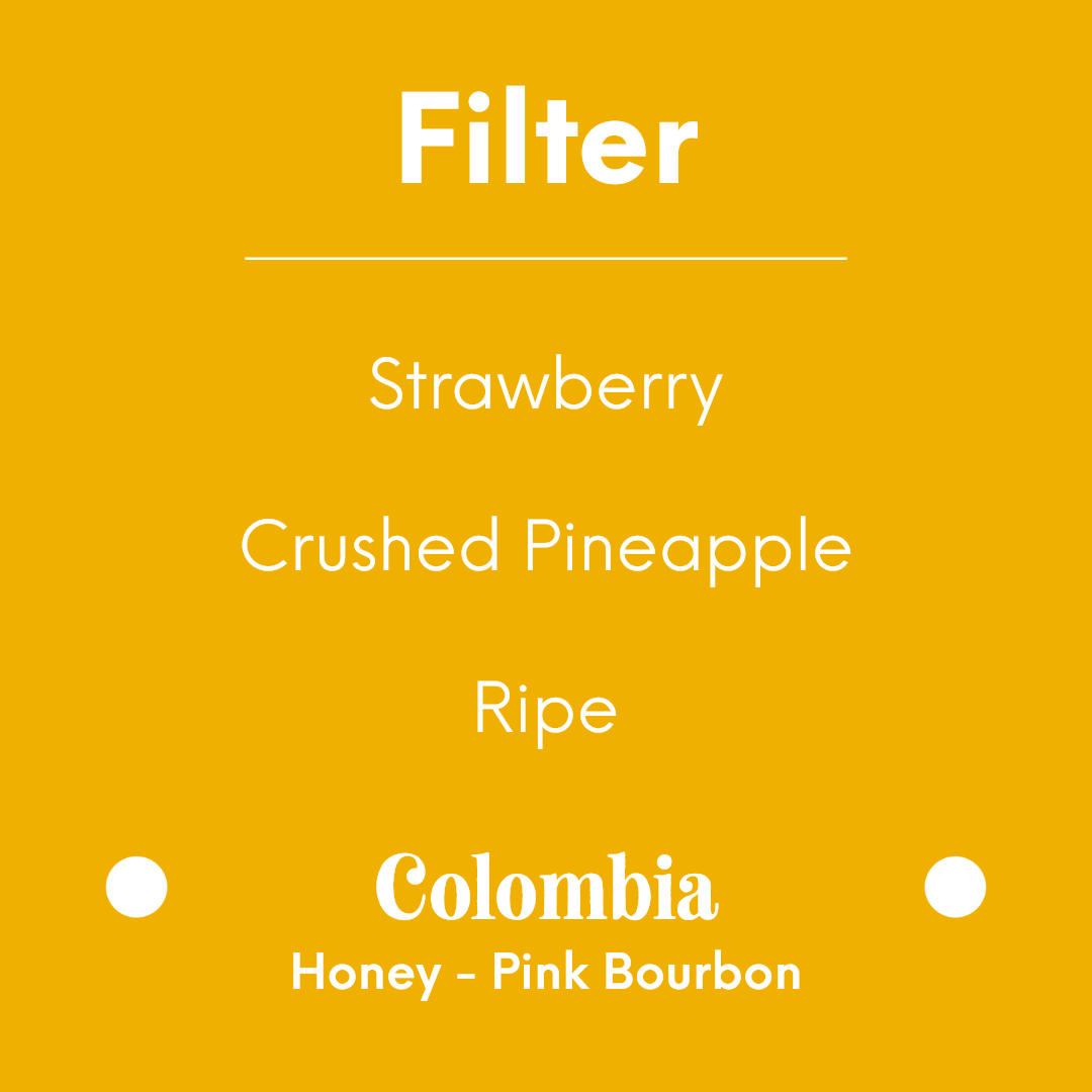 PRODIGAL - Flor de Cana - Colombia - Honey - Pink Bourbon