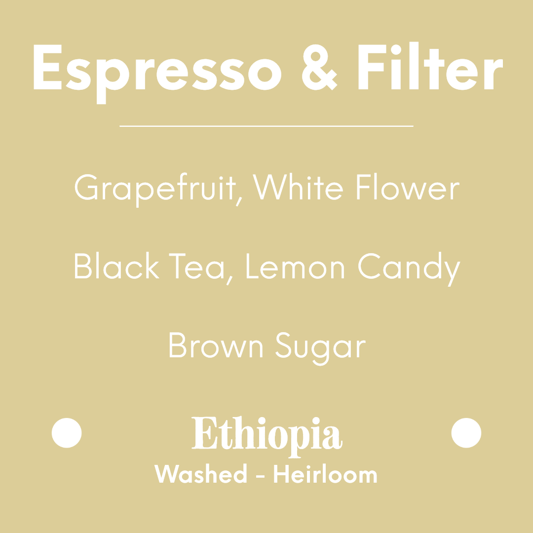 LILO - Bensa Sidamo Logita Moplaco Heleanna Washed - Ethiopia - Washed - Heirloom