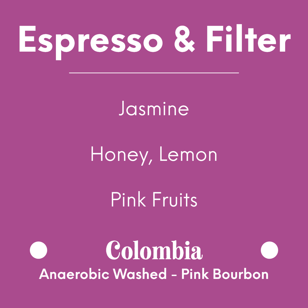 DAK - Pineberry - Colombia - Anaerobic Washed - Pink Bourbon