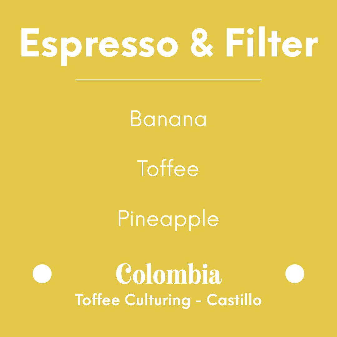 DAK - Banana Split - Colombia - Toffee Culturing - Castillo