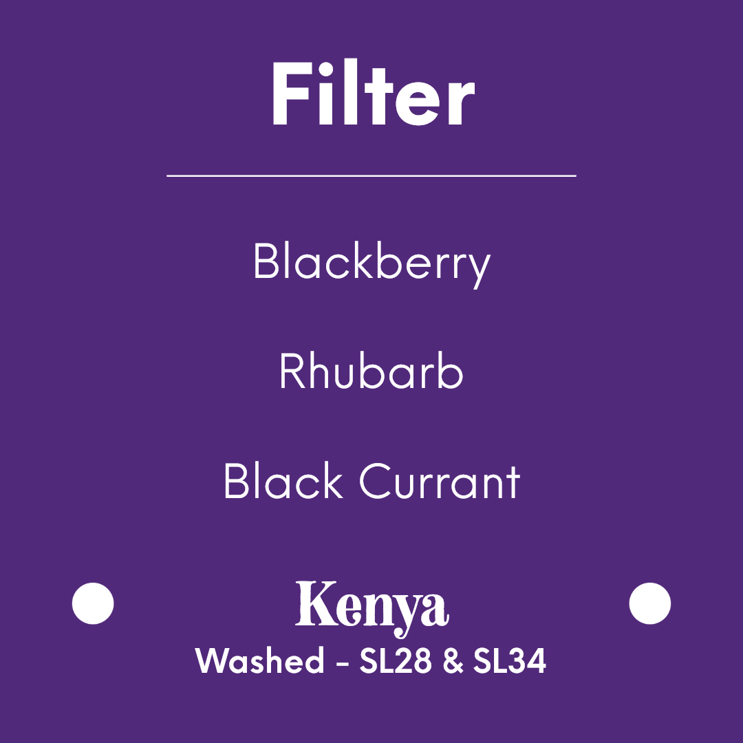 DAK - Blackberry Disco - Kenya - Washed - SL28 & SL34