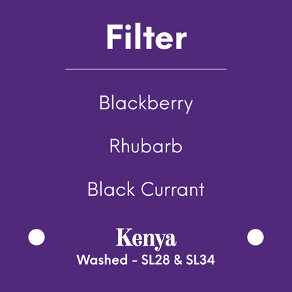 DAK - Blackberry Disco - Kenya - Washed - SL28 & SL34