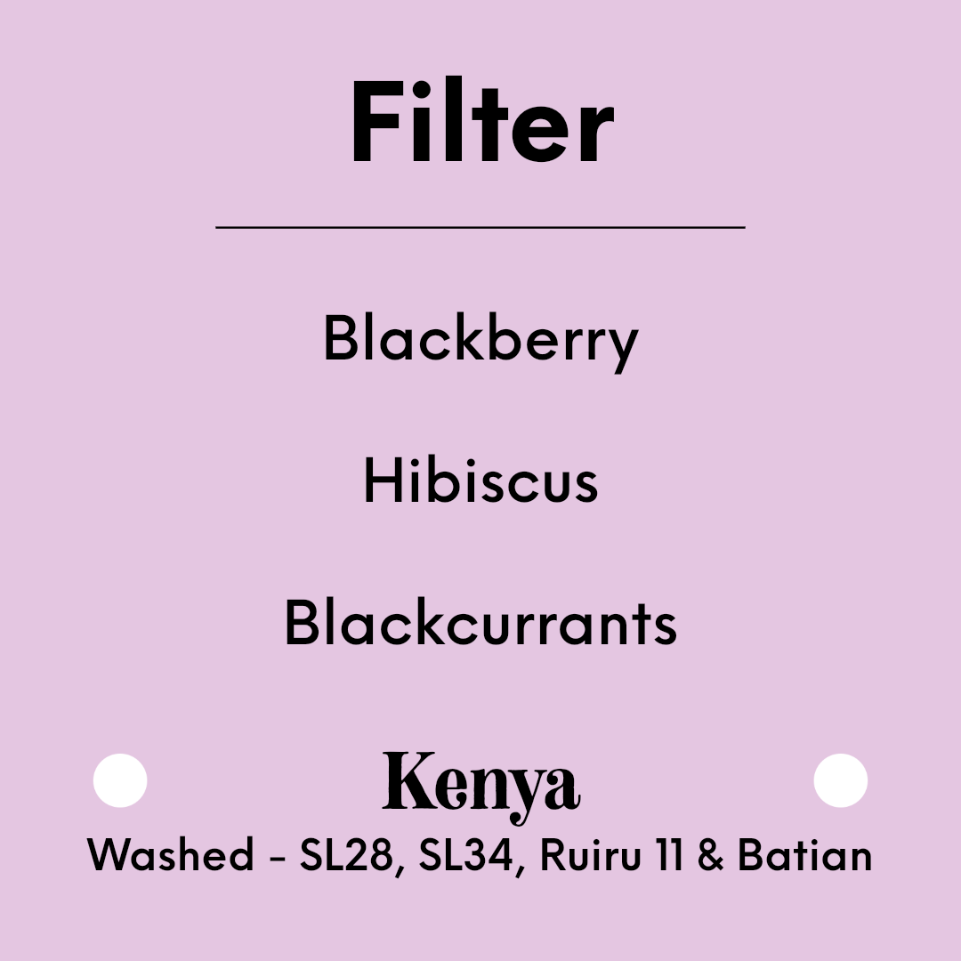 TIM WENDELBOE - Karogoto - Kenya - Washed - SL28, SL34, Ruiru 11 & Batian