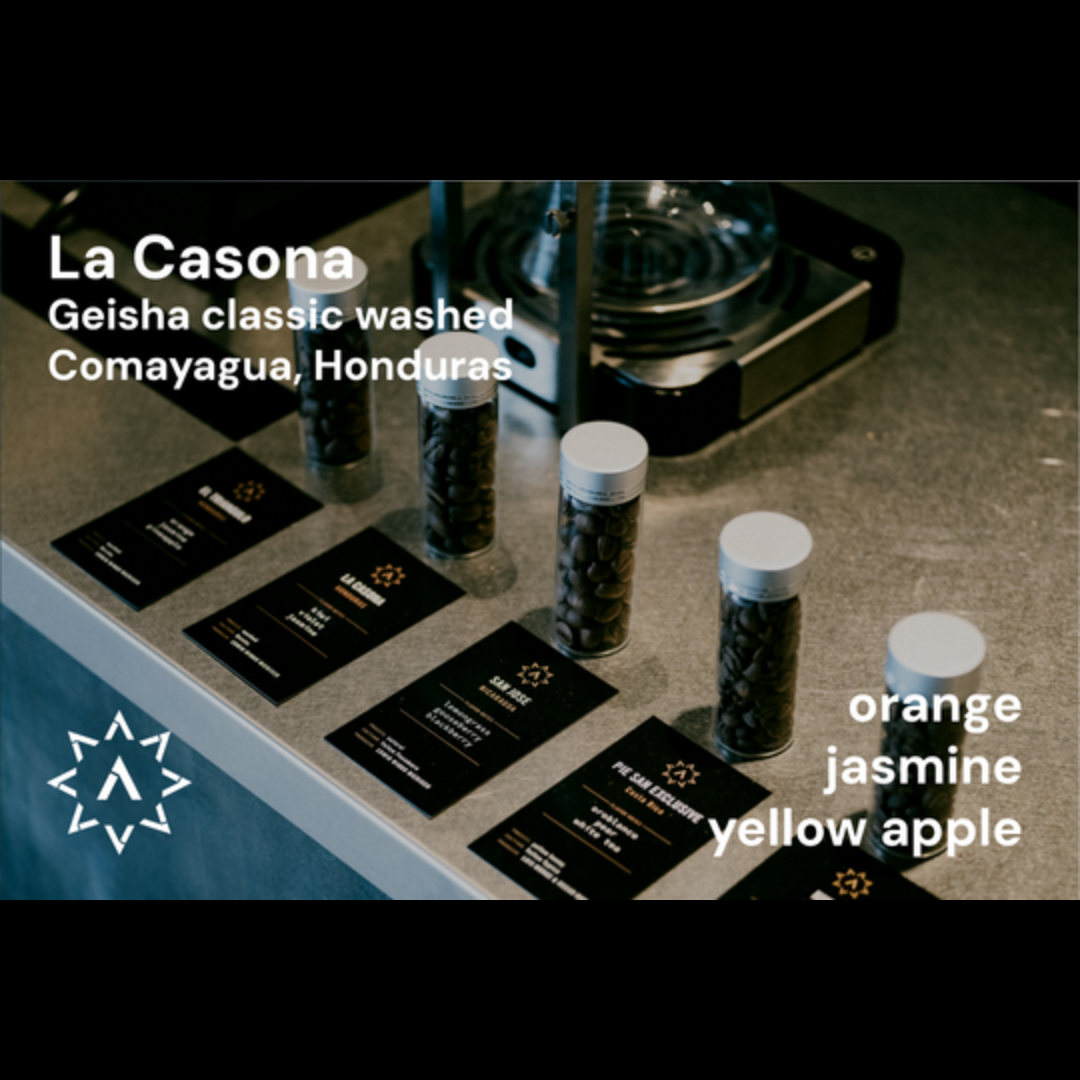 APOLLON'S GOLD - La Casona - Honduras - Washed - Geisha