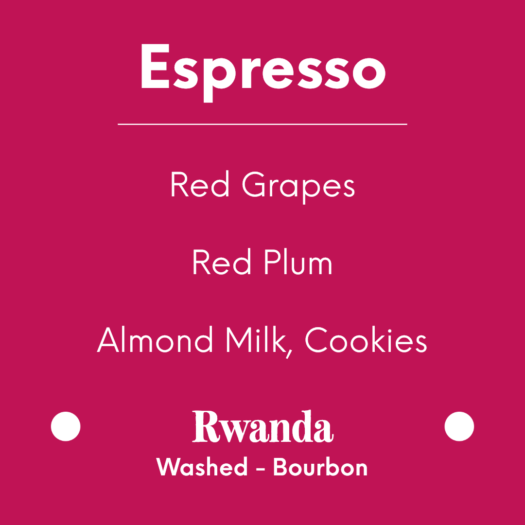 DAK - Affogato - Rwanda - Washed - Bourbon