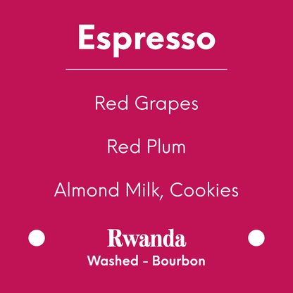 DAK - Affogato - Rwanda - Washed - Bourbon