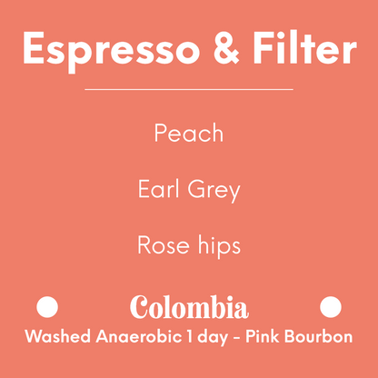 [PREORDER][END FEB 22] MAME - Pink Bourbon - Colombia - Washed Anaerobic 1 day - Pink Bourbon