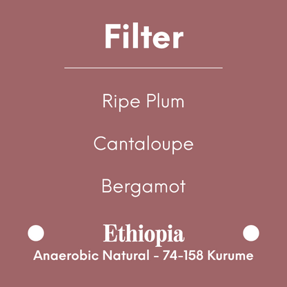 COFFEE COLLECTIVE - Bekele Anaerobic - Ethiopia - Anaerobic Natural - 74-158 Kurume