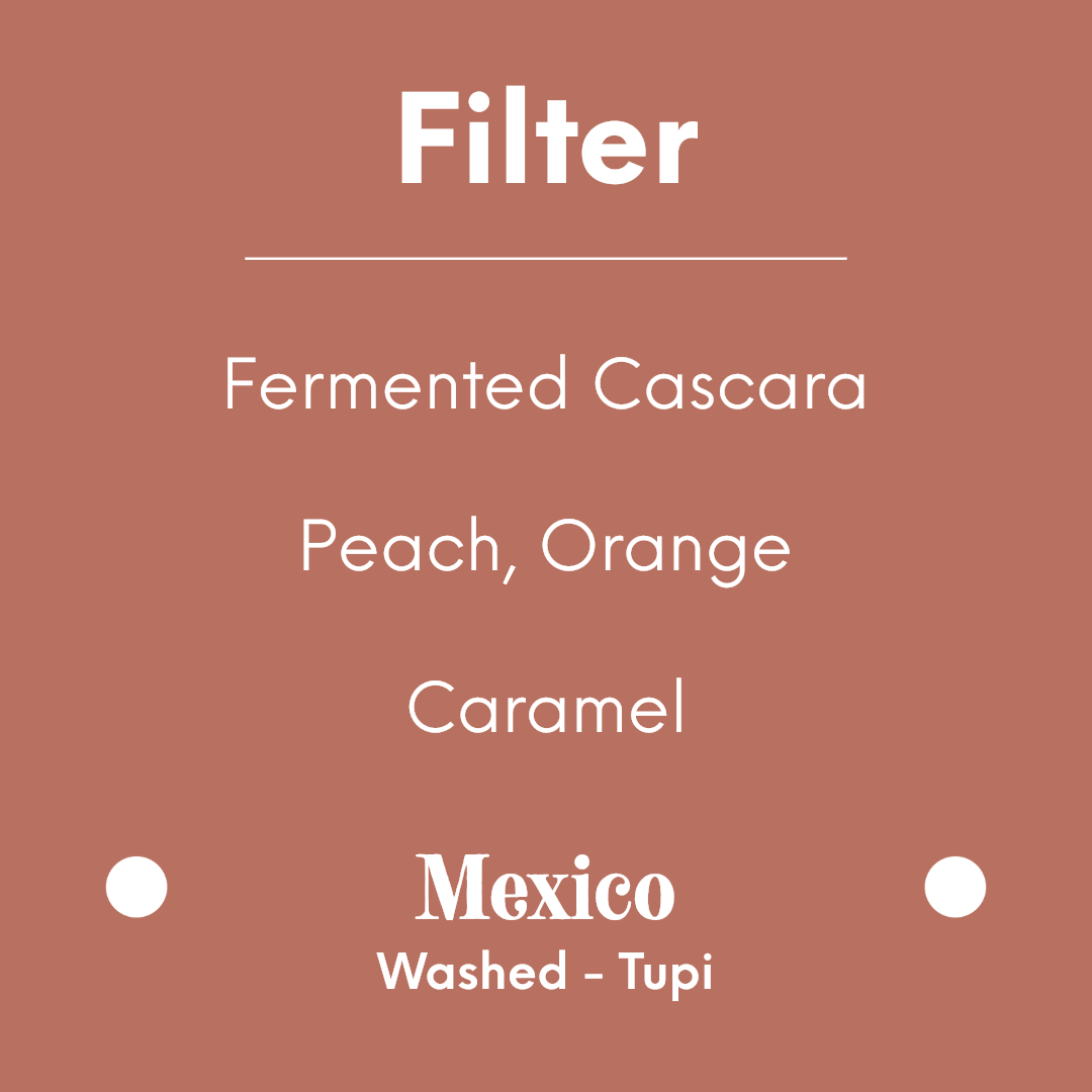 COFFEE COLLECTIVE - Silvia Tupi - Mexico - Washed - Tupi