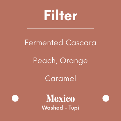 COFFEE COLLECTIVE - Silvia Tupi - Mexico - Washed - Tupi