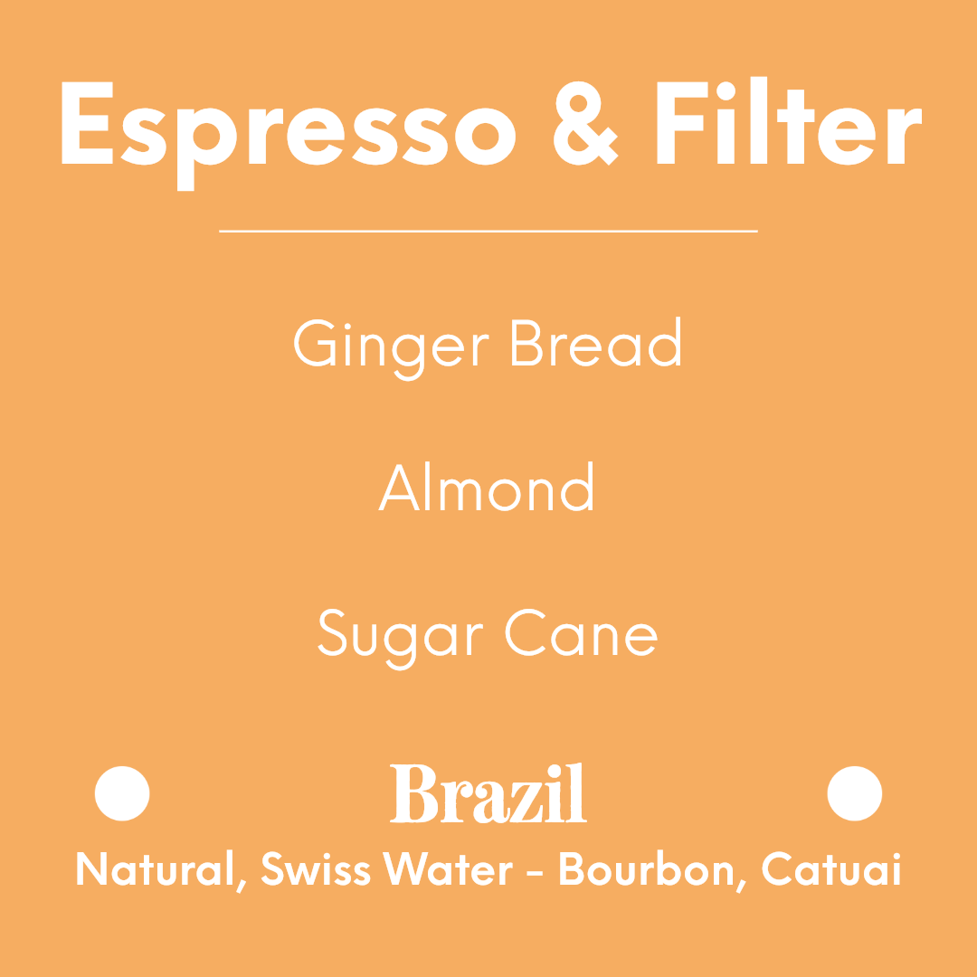 [PREORDER][END FEB 22] MAME - Decaf - Brazil - Natural, Swiss Water - Bourbon, Catuai