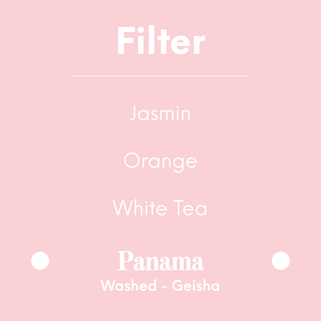 [PREORDER][END FEB 22] MAME - Mi Finquita - Panama - Washed - Geisha