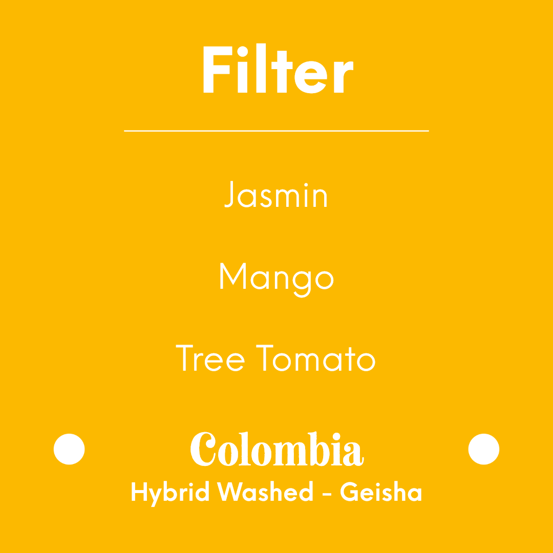 [PREORDER][END FEB 22] MAME - Granja Hybrid Washed - Colombia - Hybrid Washed - Geisha