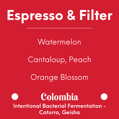 [PREORDER][END FEB 22] MAME - Finca Milan - WBC World Champion Runner Up 2023 - Colombia - Intentional Bacterial Fermentation - Caturra, Geisha