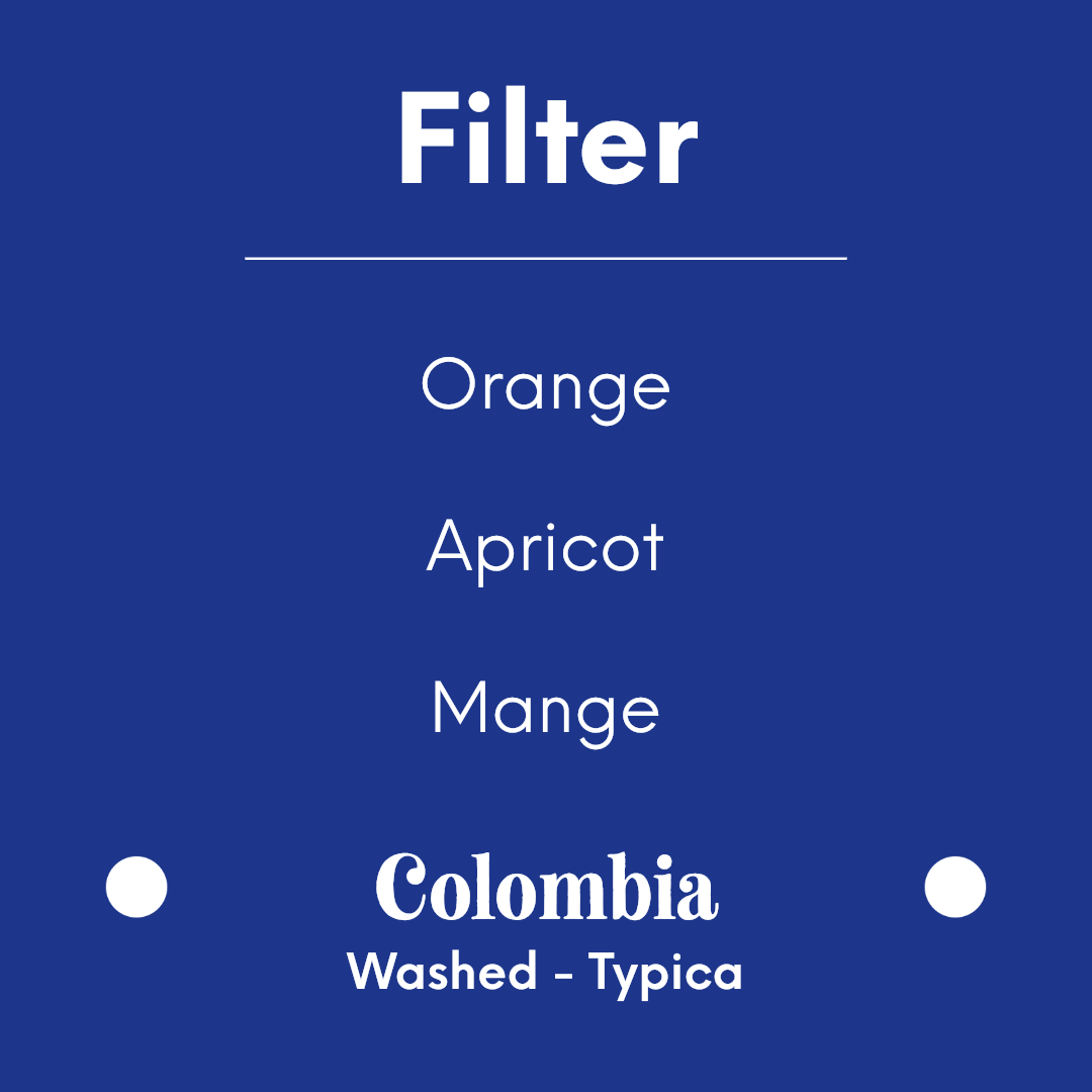 PRODIGAL - El Tesoro - Colombia - Washed - Typica