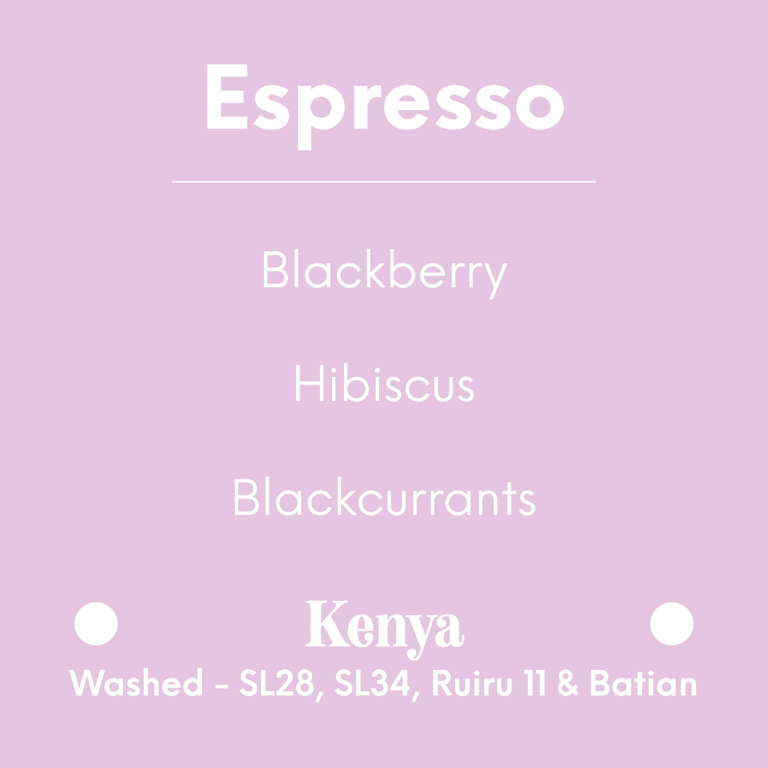 TIM WENDELBOE - Karogoto Espresso | Kenya - Washed - SL28, SL34, Ruiru 11, Batian