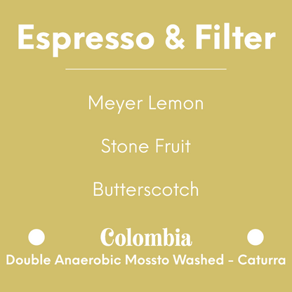 HATCH - El Diviso Estate - Colombia - Double Anaerobic Mossto Washed - Caturra