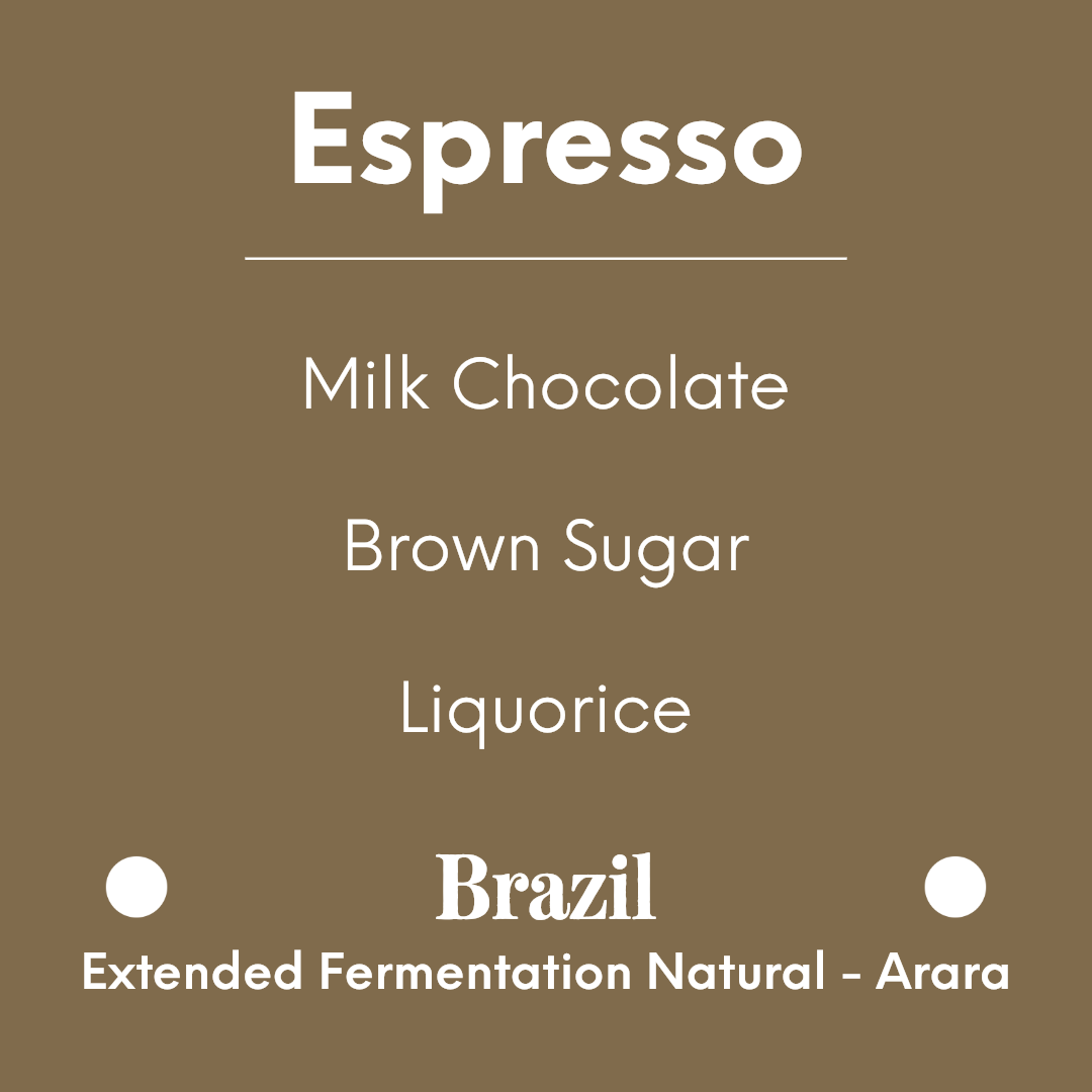 DAK - Choco Crunch | Brazil - Extended Fermentation Natural - Arara