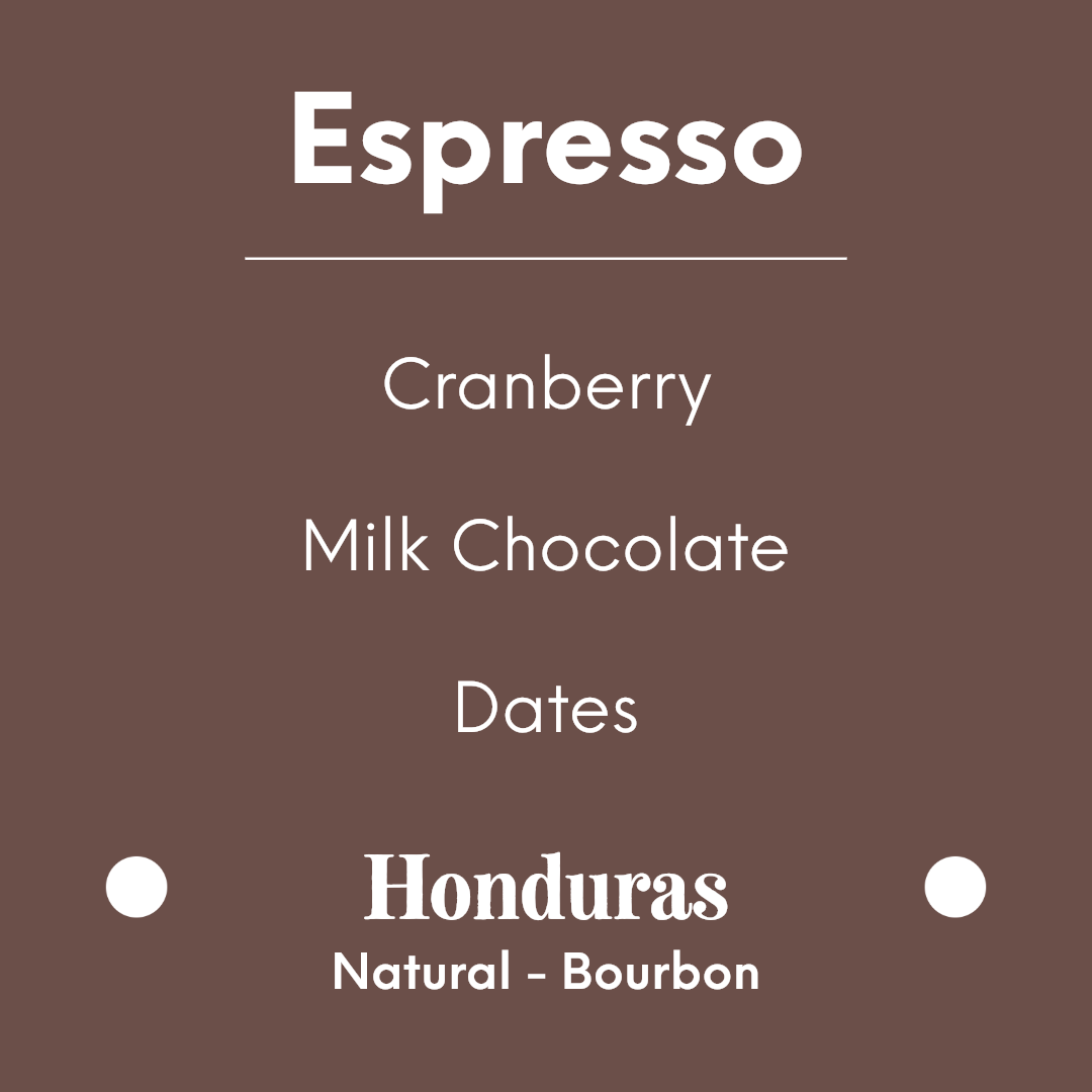 DAK - Picasso | Honduras - Natural - Bourbon