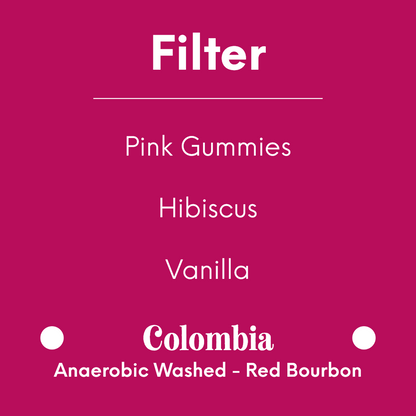 DAK - Pink Floyd | Colombia - Anaerobic Washed - Red Bourbon