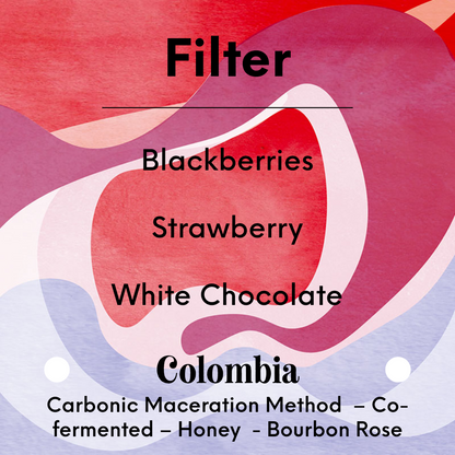 KAWA - El Placer [Red Fruits] | Colombia - Carbonic Maceration Method  – Co-fermented – Honey  - Bourbon Rose