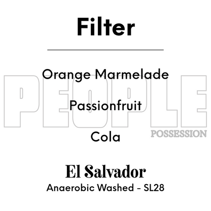 PEOPLE POSSESSION - Los Naranjos SL28 | El Salvador - Anaerobic Washed - SL28