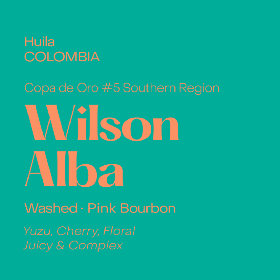 SUBTEXT - Copa de Oro | Colombia Wilson Alba | Colombia - Washed - Pink Bourbon