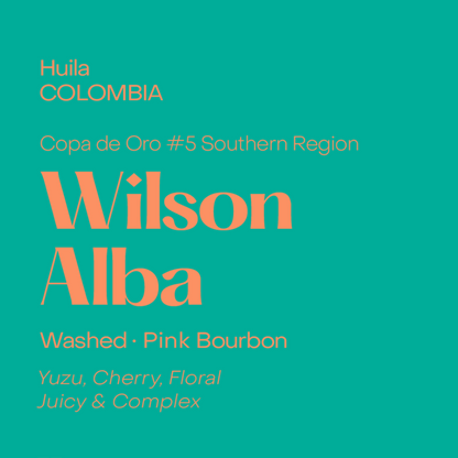 SUBTEXT - Copa de Oro | Colombia Wilson Alba | Colombia - Washed - Pink Bourbon