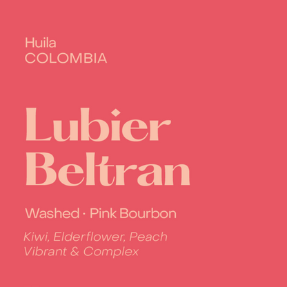 SUBTEXT - Lubier Beltran | Colombia - Washed - Pink Bourbon