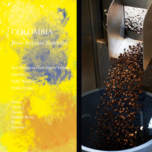 WEEKENDERS COFFEE - Jesus Antonio Saavedra | Colombia - Washed - Castillo