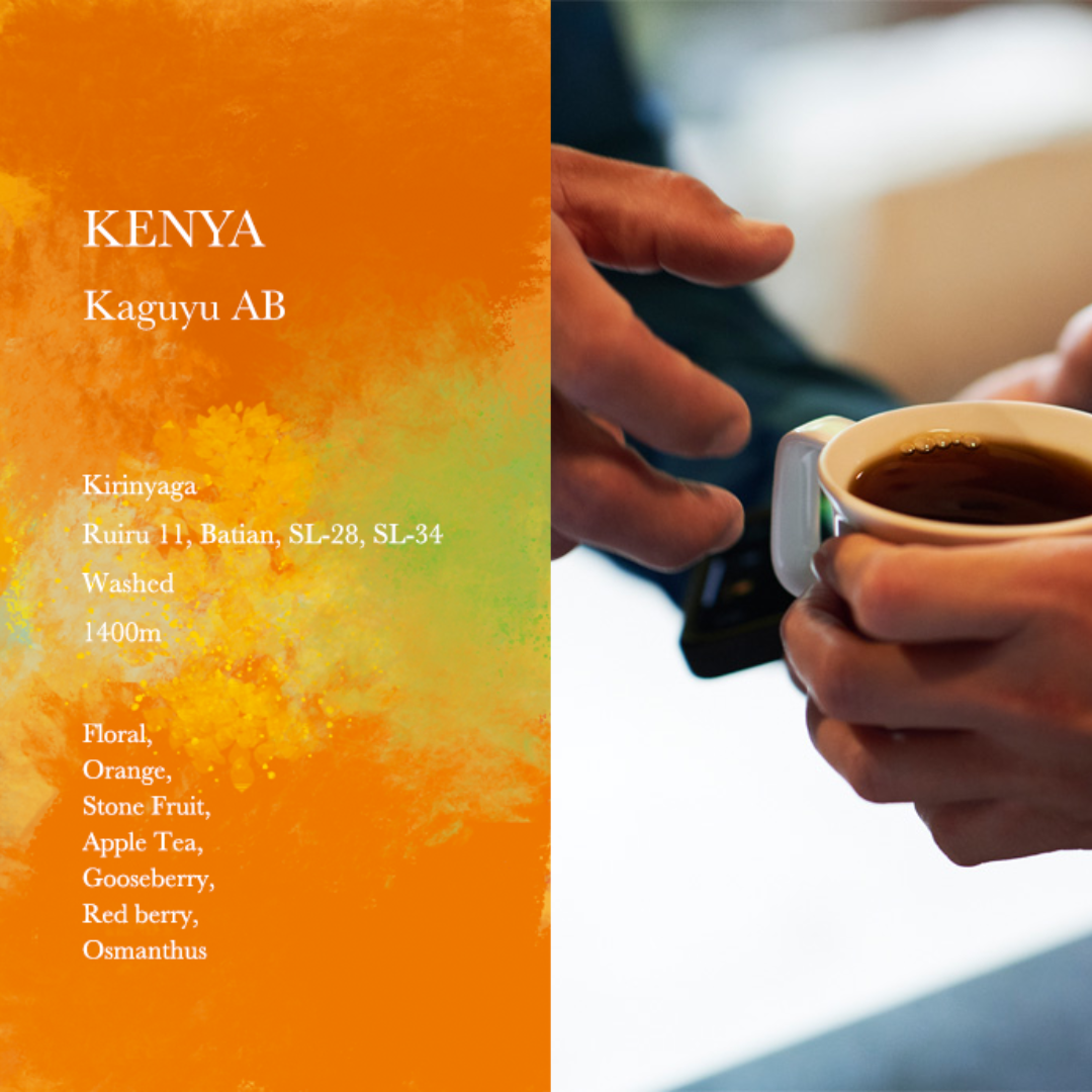 WEEKENDERS COFFEE - Kaguyu AB | Kenya - Washed - SL28, SL34, Ruiru11, Batian