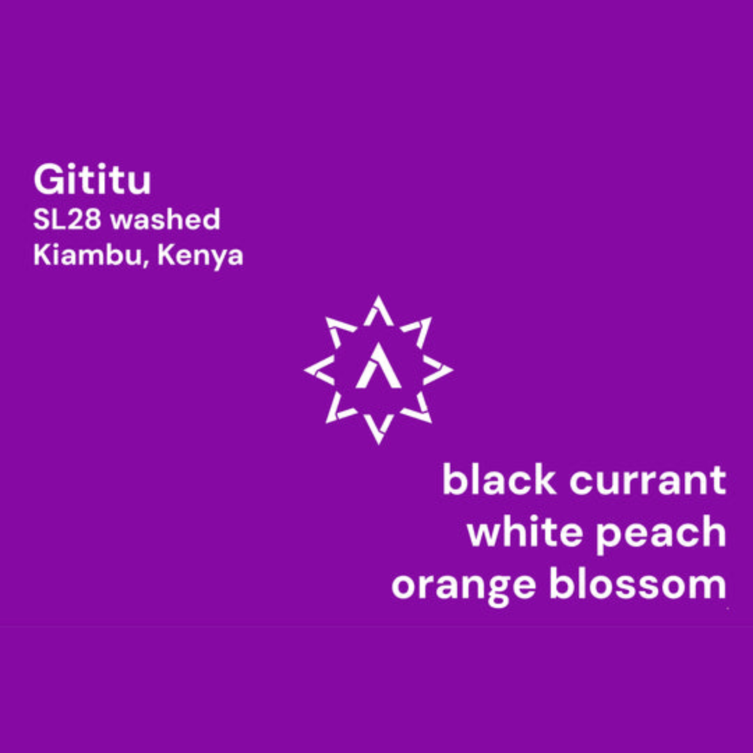 APOLLON'S GOLD - Gititu | Kenya - Washed - SL28, Ruiru11, Batian