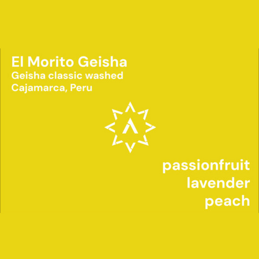 APOLLON'S GOLD - El Morito Geisha | Peru - Washed - Geisha