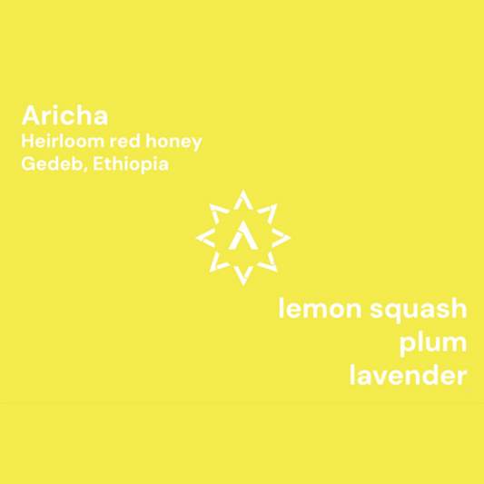 APOLLON'S GOLD - Aricha | Ethiopia - Red Honey - Heirloom