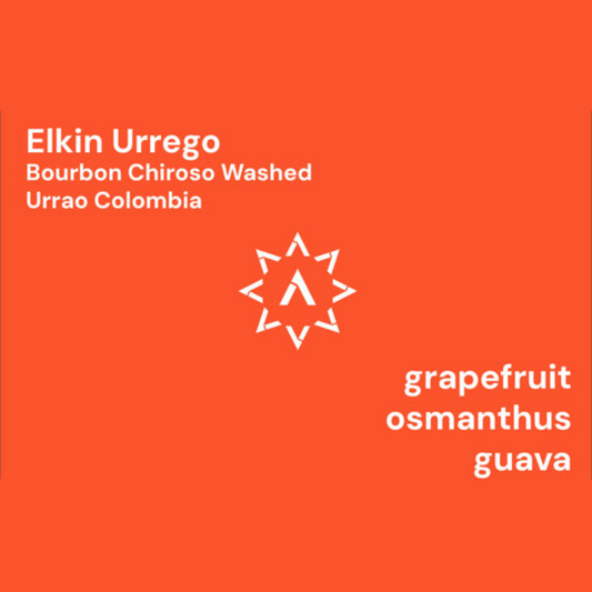 APOLLON'S GOLD - Elkin Urrego | Colombia - Washed - Bourbon Chiroso