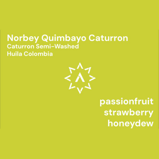 APOLLON'S GOLD - Norbey Quimbyo Caturron | Colombia - Semi Washed - Caturron