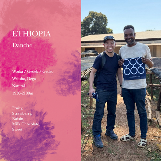 WEEKENDERS COFFEE - Danche | Ethiopia - Natural - Dega, Wolisho