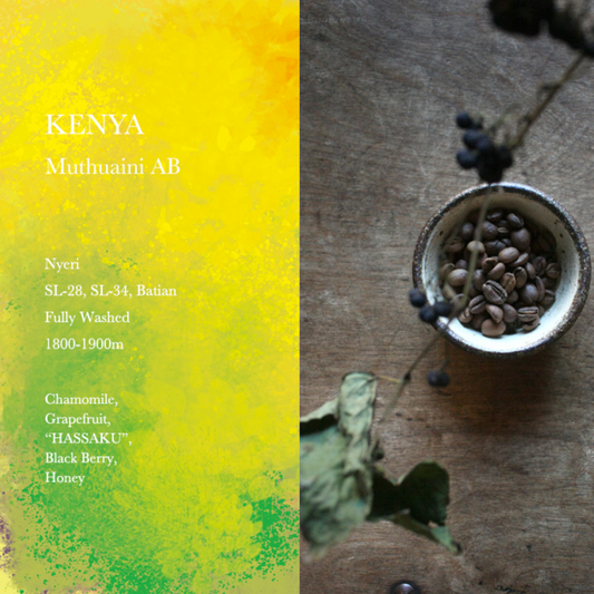 WEEKENDERS COFFEE - Muthuaini AB | Kenya - Washed - SL28, SL34, Batian