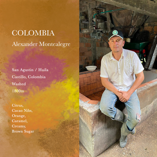 WEEKENDERS COFFEE - Alexander Montealegre | Colombia - Washed - Castillo, Colombia