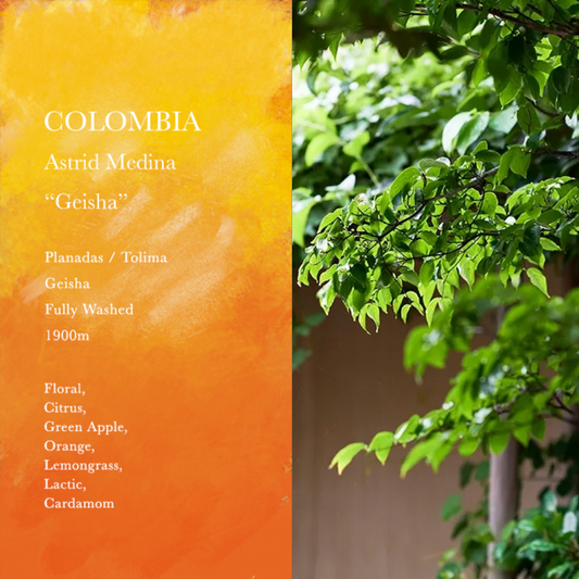 WEEKENDERS COFFEE - Astrid Medina "Geisha" | Colombia - Washed - Geisha