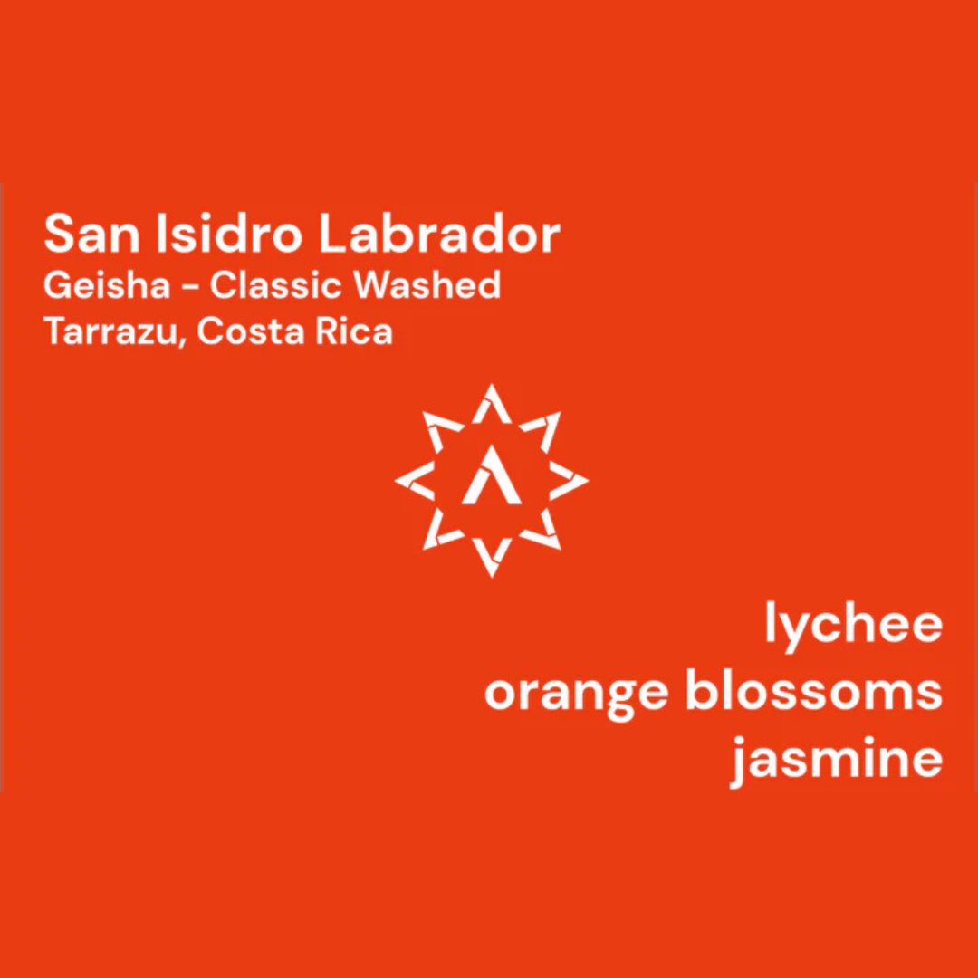 APOLLON'S GOLD - San Isidro Labrador | Costa Rica - Washed - Geisha