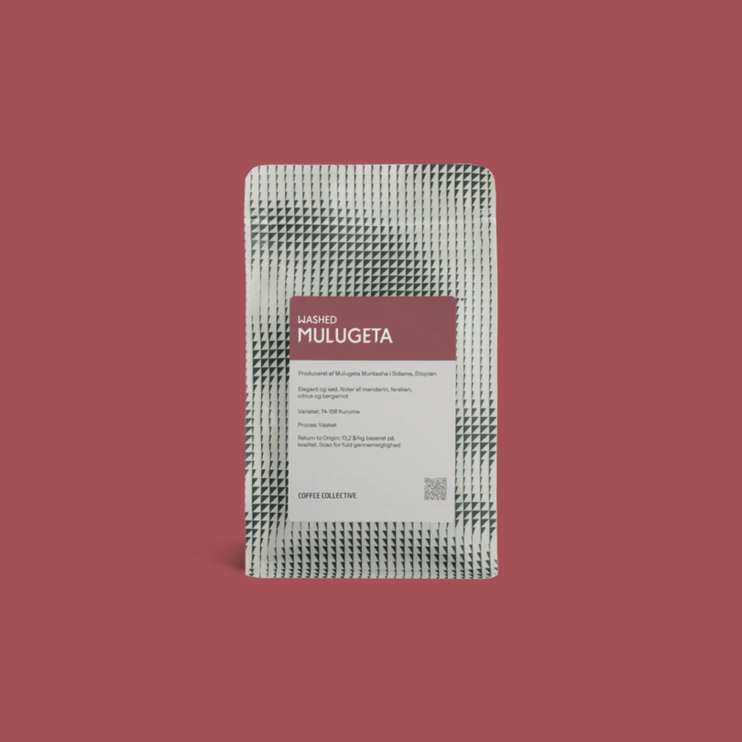 COFFEE COLLECTIVE - Mulugeta Washed Filter | Ethiopia - Washed - 74158 Kurume