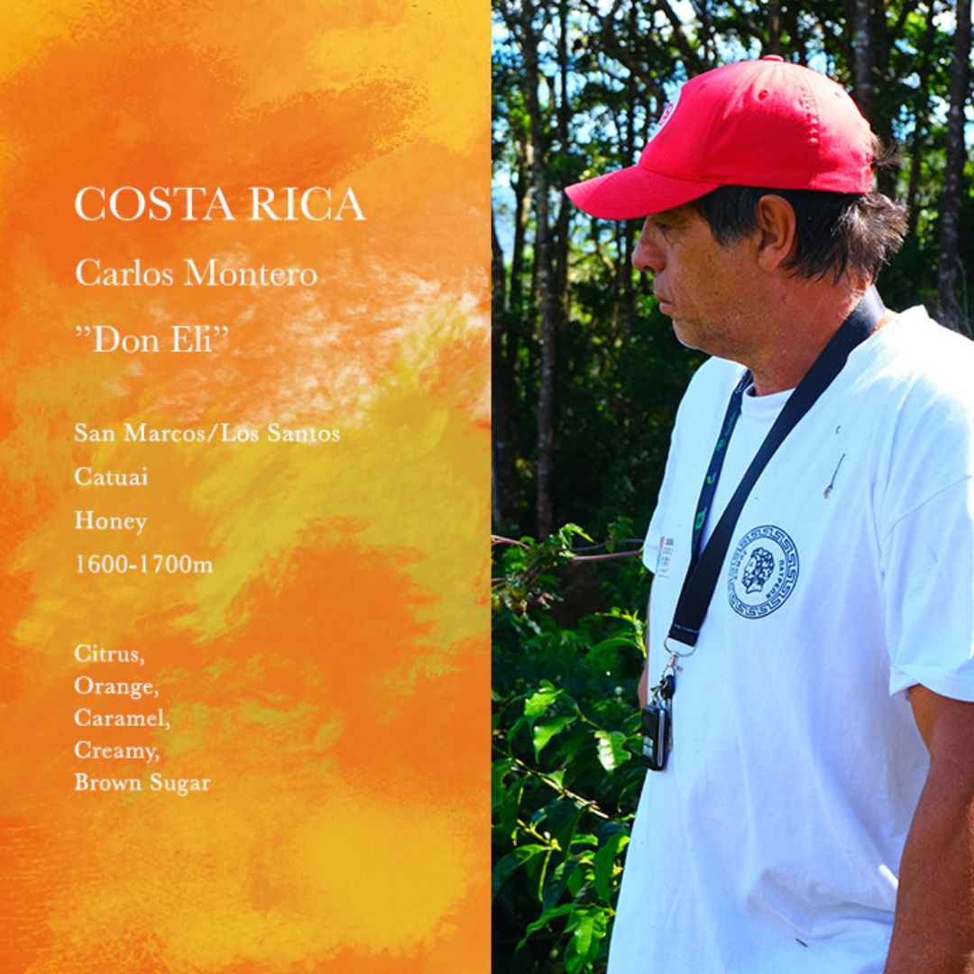 WEEKENDERS COFFEE - Carlos Montero”Don Eli” | Costa Rica - Honey - Catuai