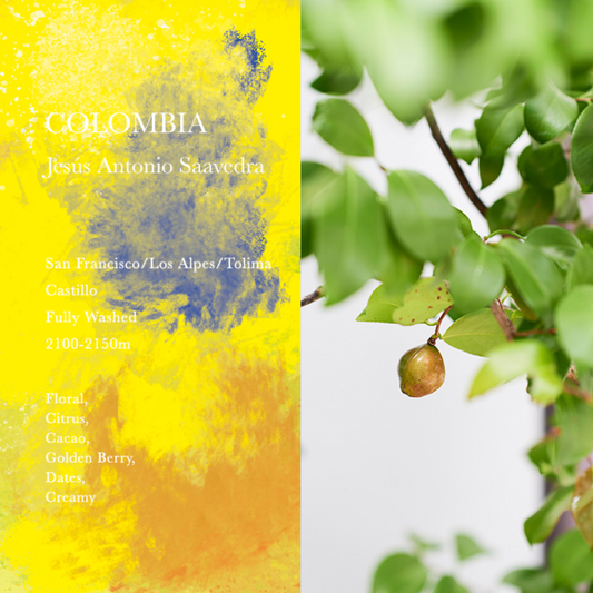 WEEKENDERS COFFEE - Jesús Antonio Saavedra | Colombia - Washed - Castillo
