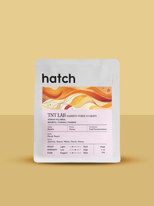 HATCH - TNT Lab Bambito Verde Guarapo | Panama - Honey - Geisha
