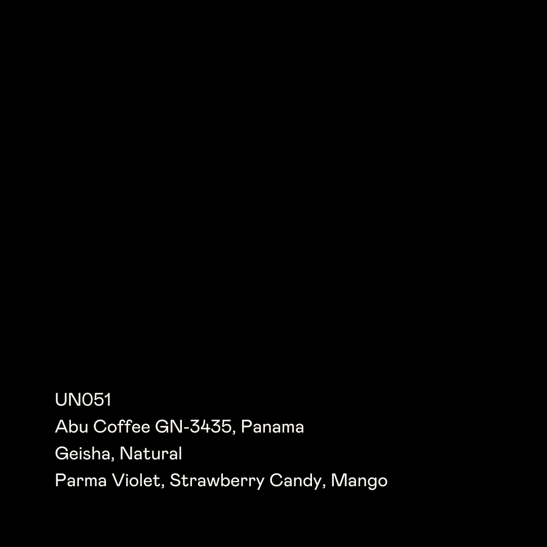 SPECIAL GUESTS - Abu GN-3435 | Panama - Natural - Geisha