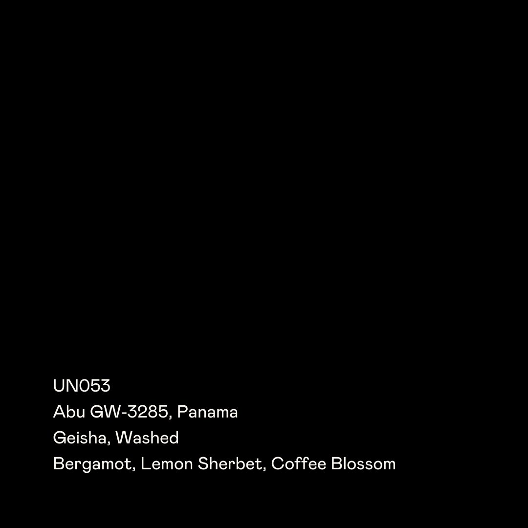 SPECIAL GUESTS - Abu GW-3285 | Panama - Washed - Geisha